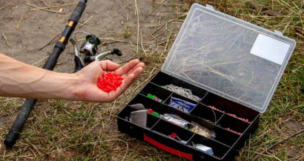 The Benefits of Clear Blue Line When Fishing