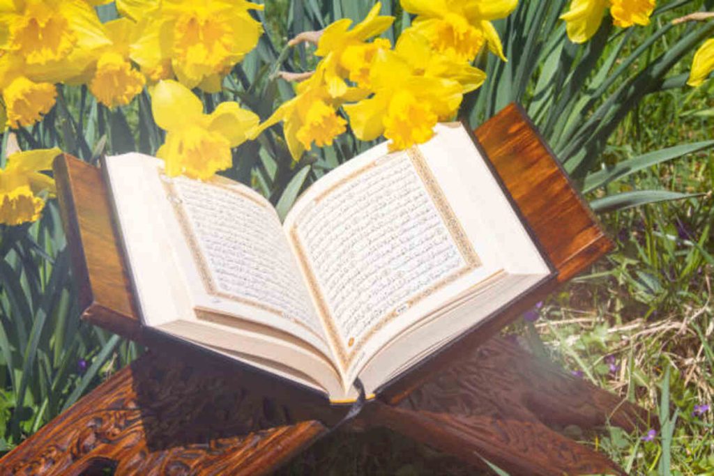 The Flower of Veneration Chapter