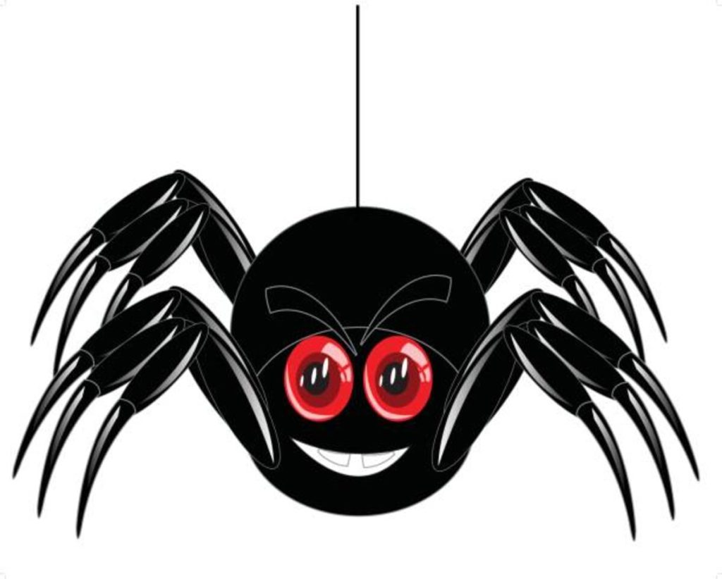 Spider Jokes and Puns