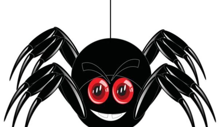 Spider Jokes and Puns