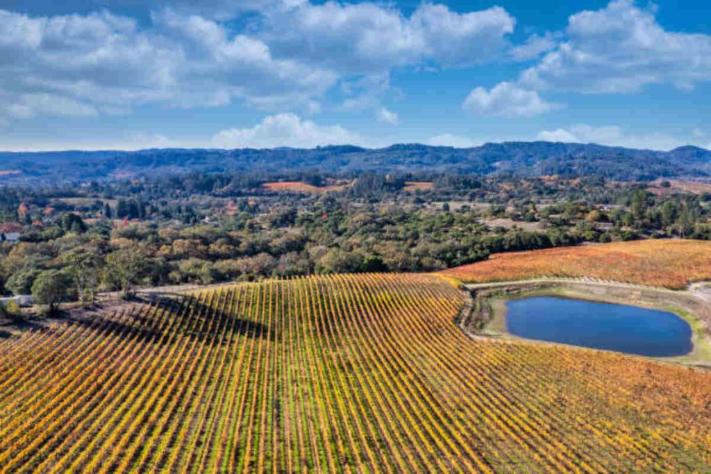 Russian River Valley Pinot Noir