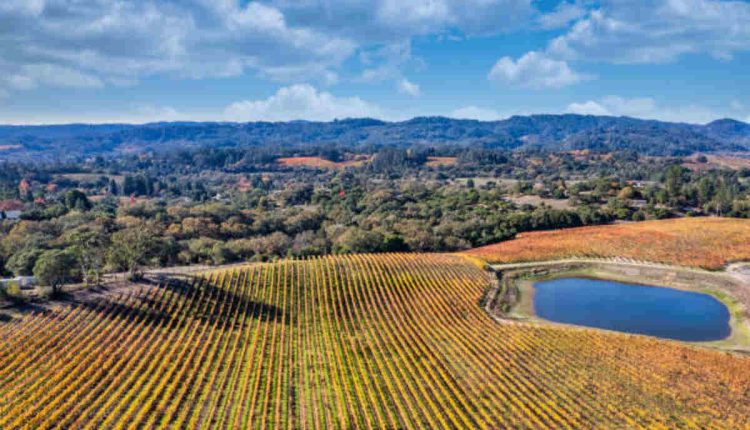 Russian River Valley Pinot Noir
