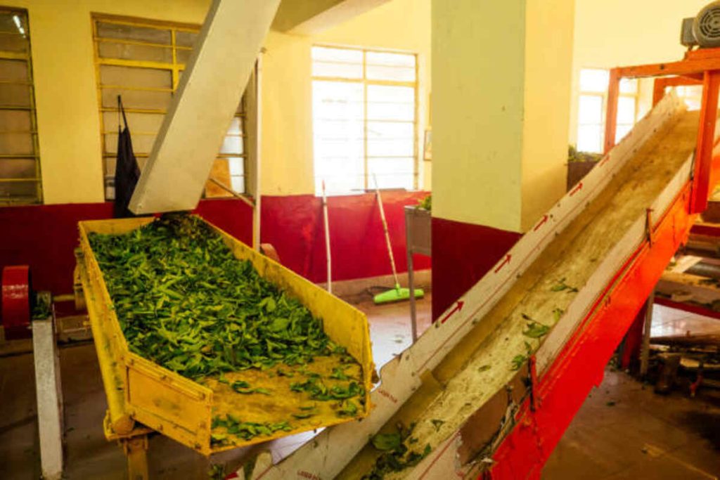 Manufacturing Companies in Kerala