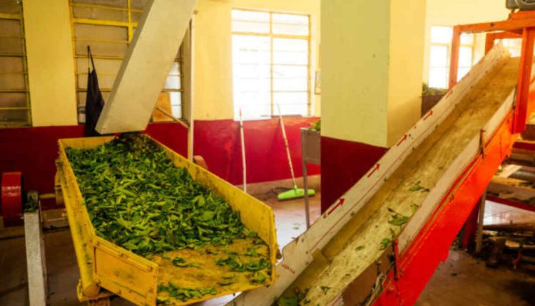 Manufacturing Companies in Kerala