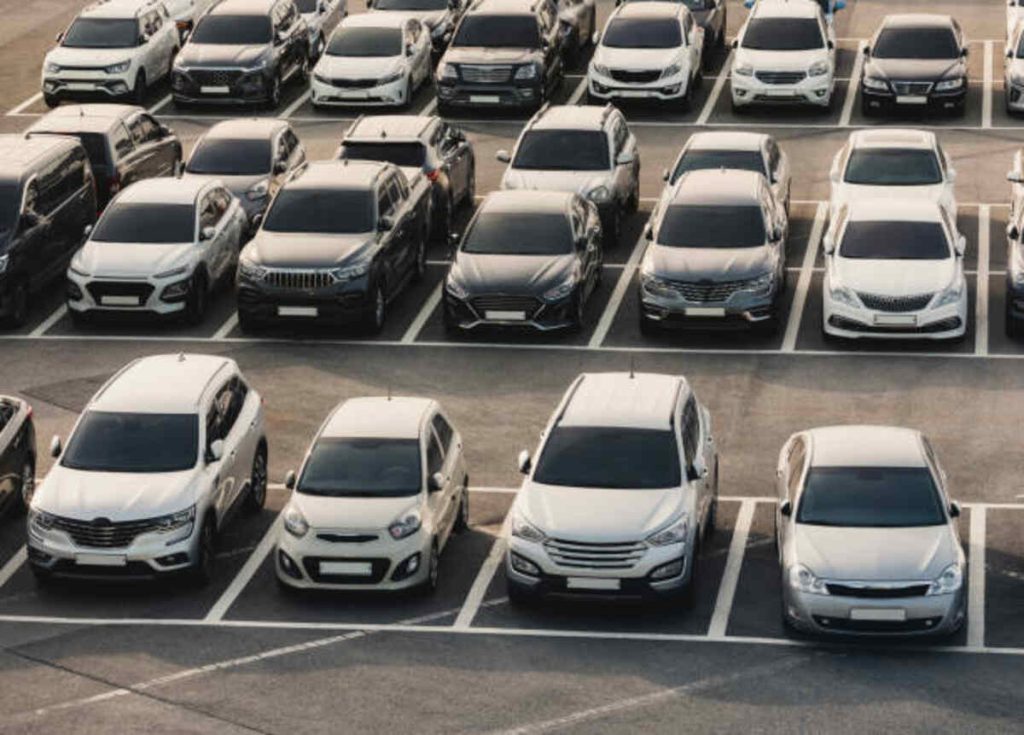 bid cars history