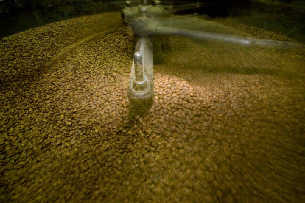 Shaping Tomorrow's Harvest: The Future of