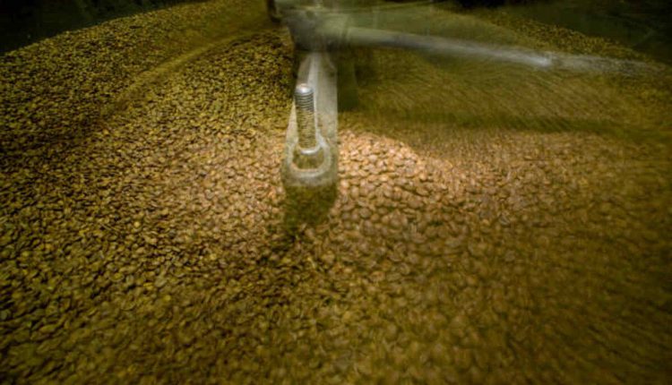 Shaping Tomorrow's Harvest: The Future of