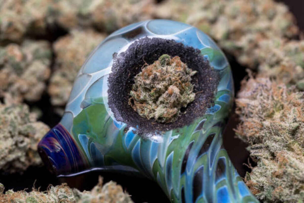 How to Choose the Best THCA Flower
