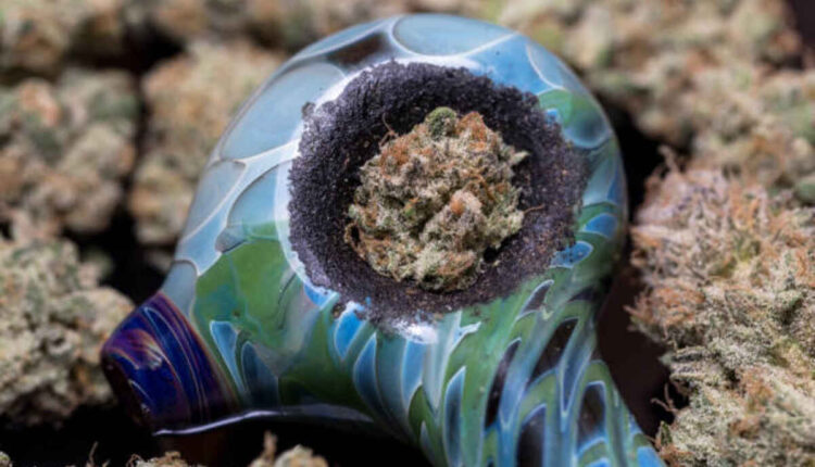 How to Choose the Best THCA Flower